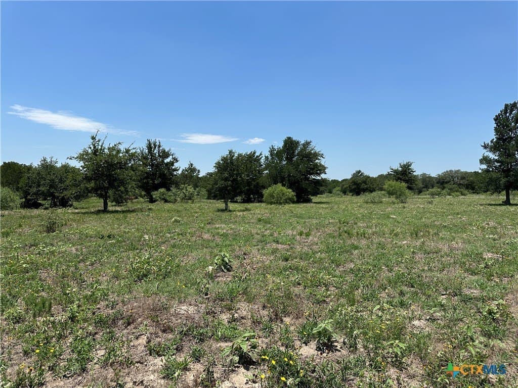 10.1 acres in Bastrop County - photo 8