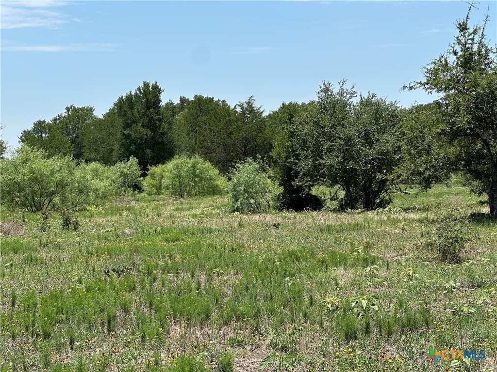 10.1 acres in Bastrop County - photo 4