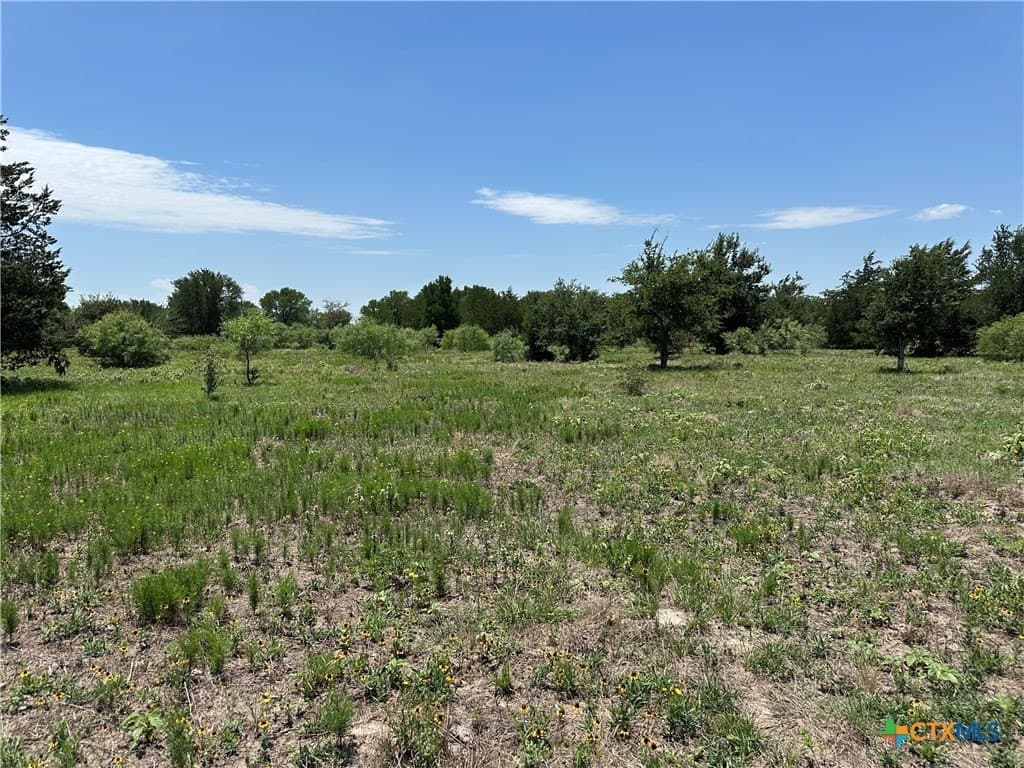 10.1 acres in Bastrop County - photo 2