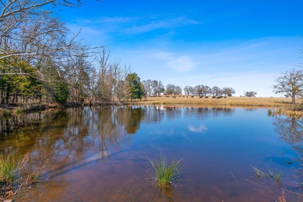10.1 acres in Van Zandt County - photo 27