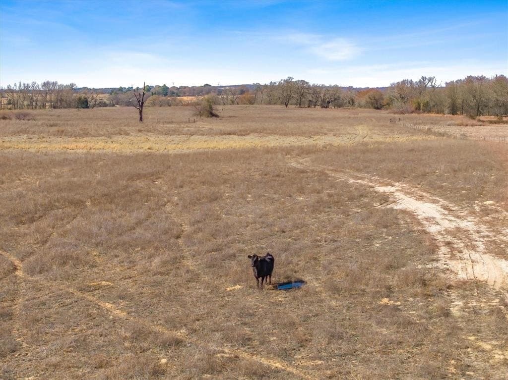 10.1 acres in Van Zandt County - photo 24