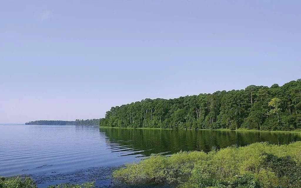 2.37 acres in Navarro County - photo 3