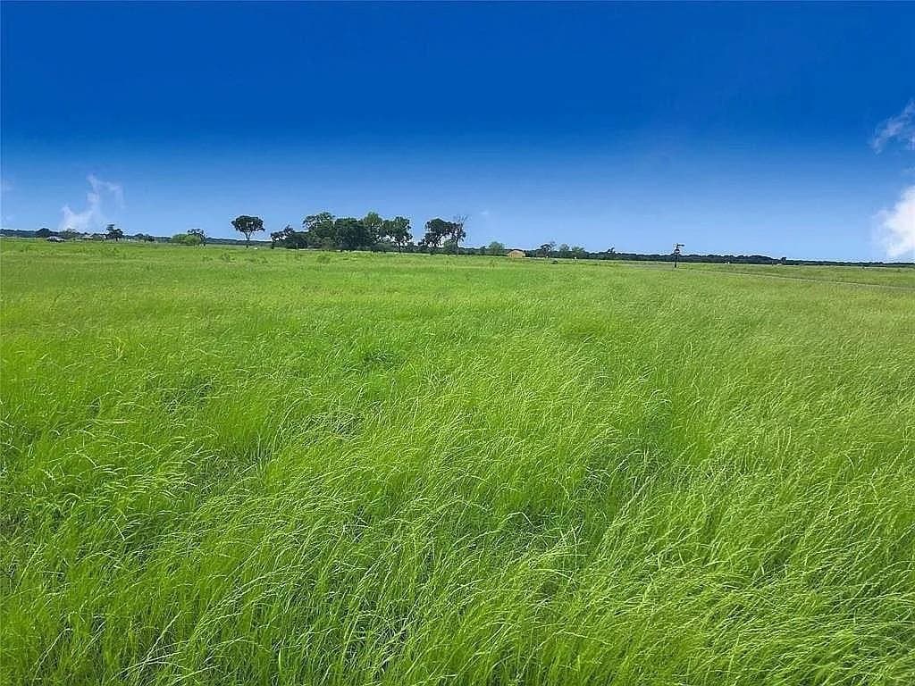 2.37 acres in Navarro County - photo 4