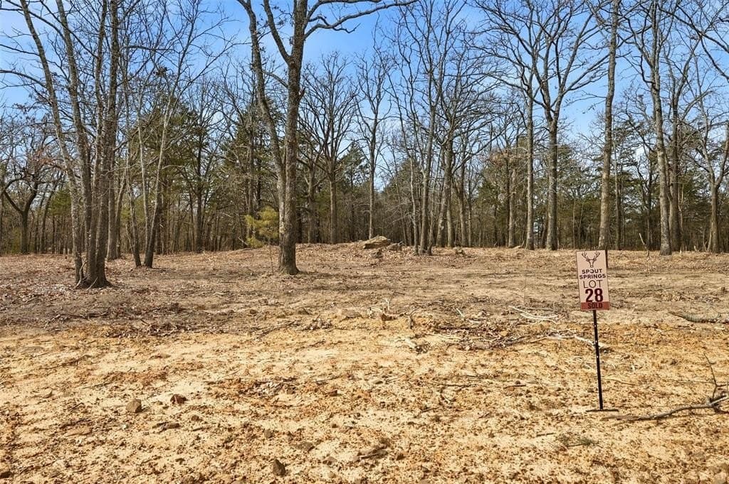1 acres in Grayson County - photo 3