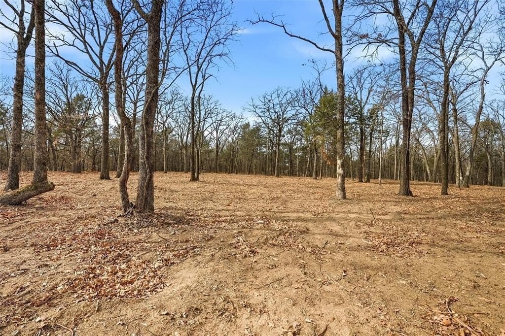1 acres in Grayson County - photo 10
