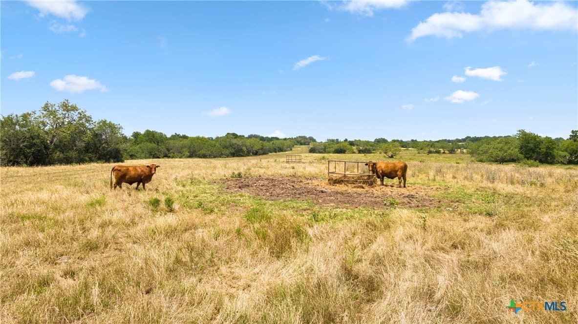 256.47 acres in Caldwell County - photo 21