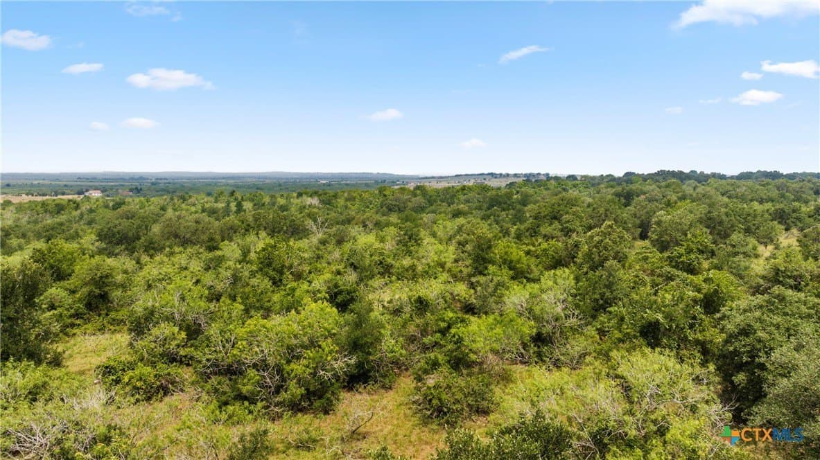 256.47 acres in Caldwell County - photo 7