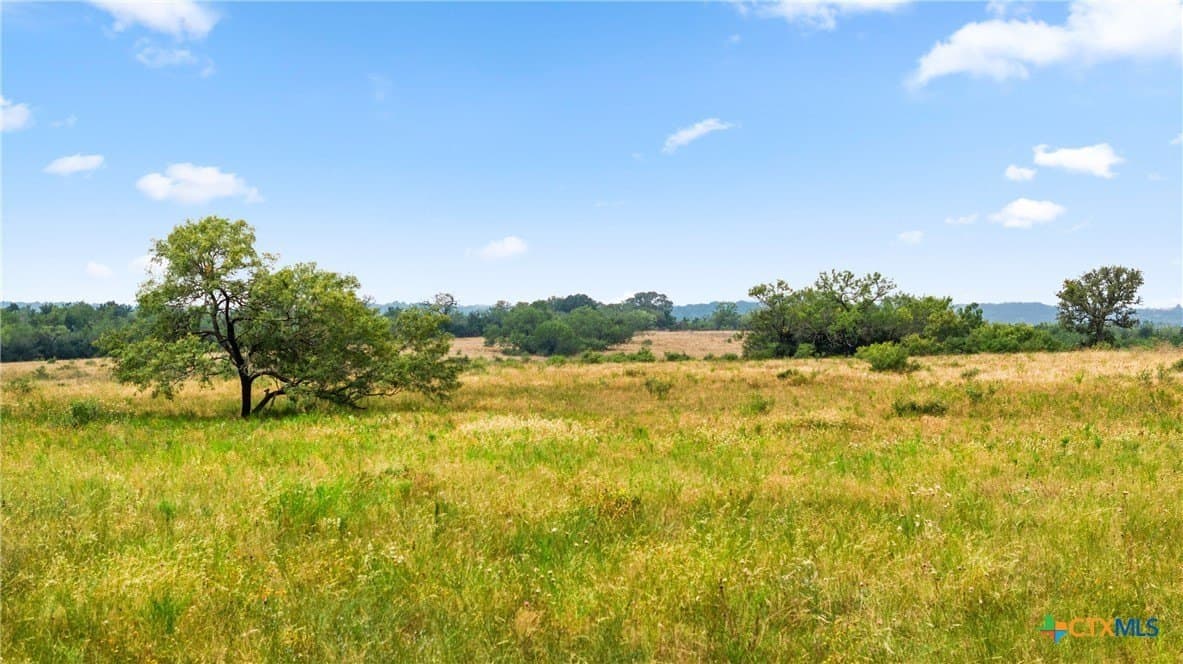256.47 acres in Caldwell County - photo 12