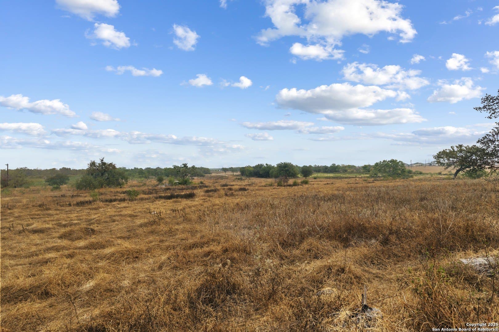 40 acres in Bexar County - photo 13