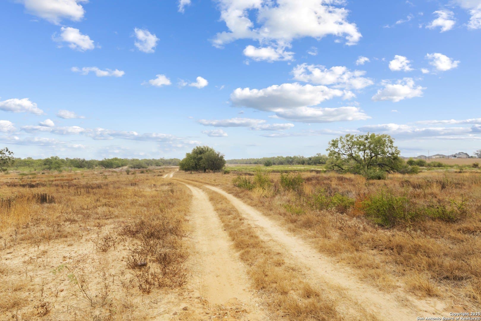 40 acres in Bexar County - photo 5