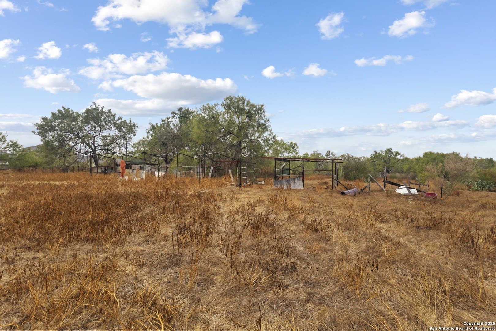 40 acres in Bexar County - photo 15