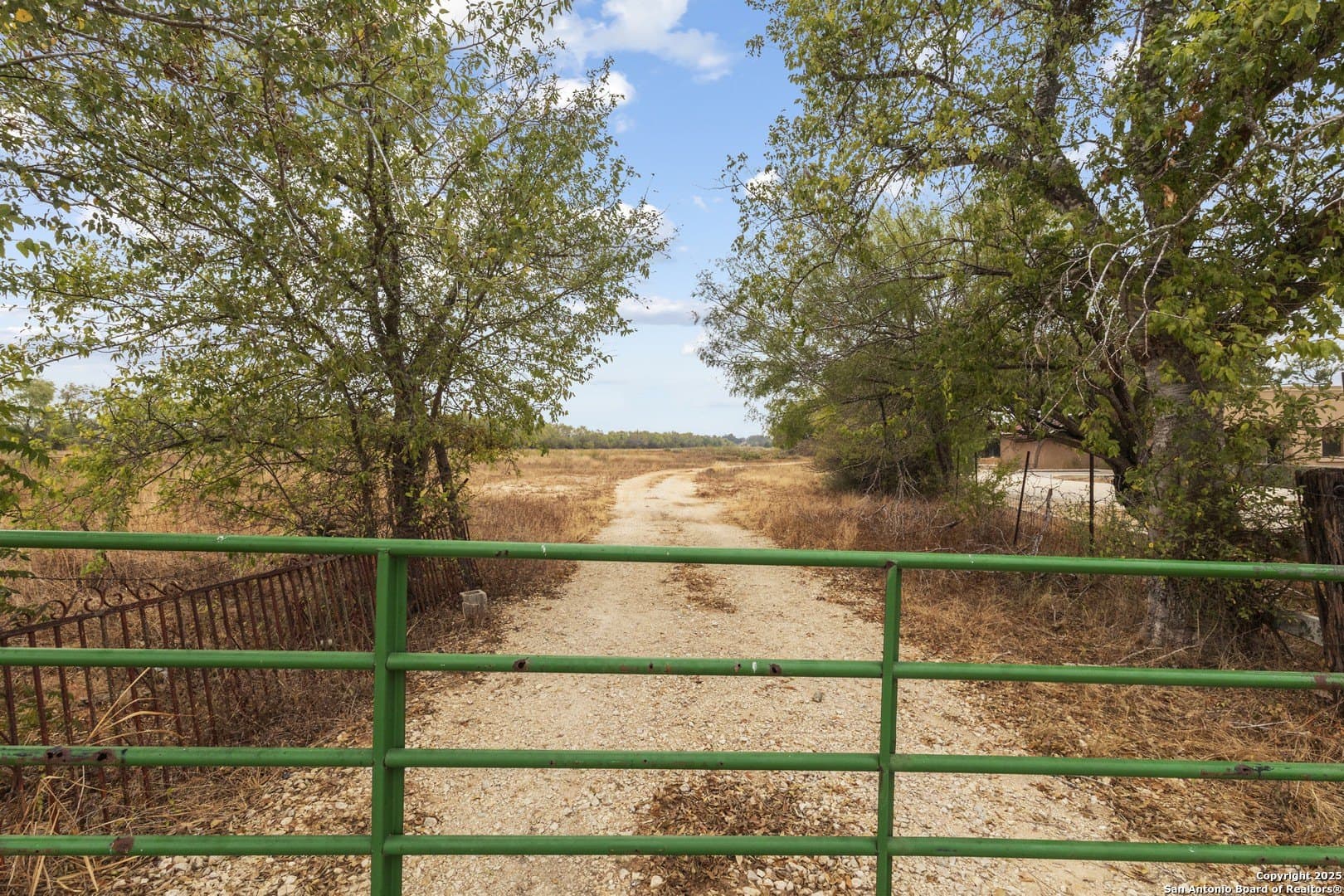 40 acres in Bexar County - photo 4