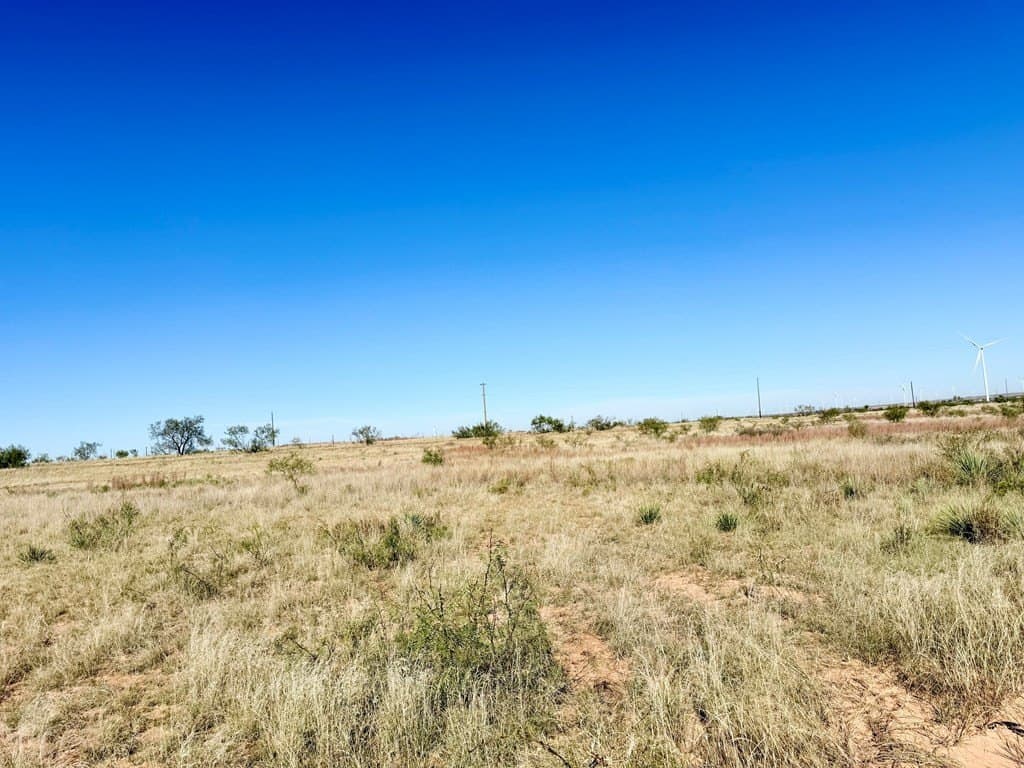 69.06 acres in Scurry County - photo 2