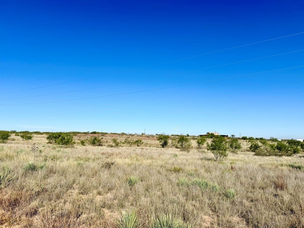 69.06 acres in Scurry County - photo 11
