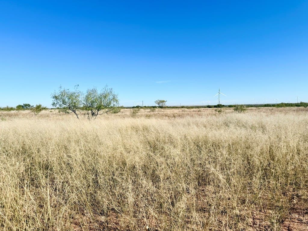 69.06 acres in Scurry County - photo 7