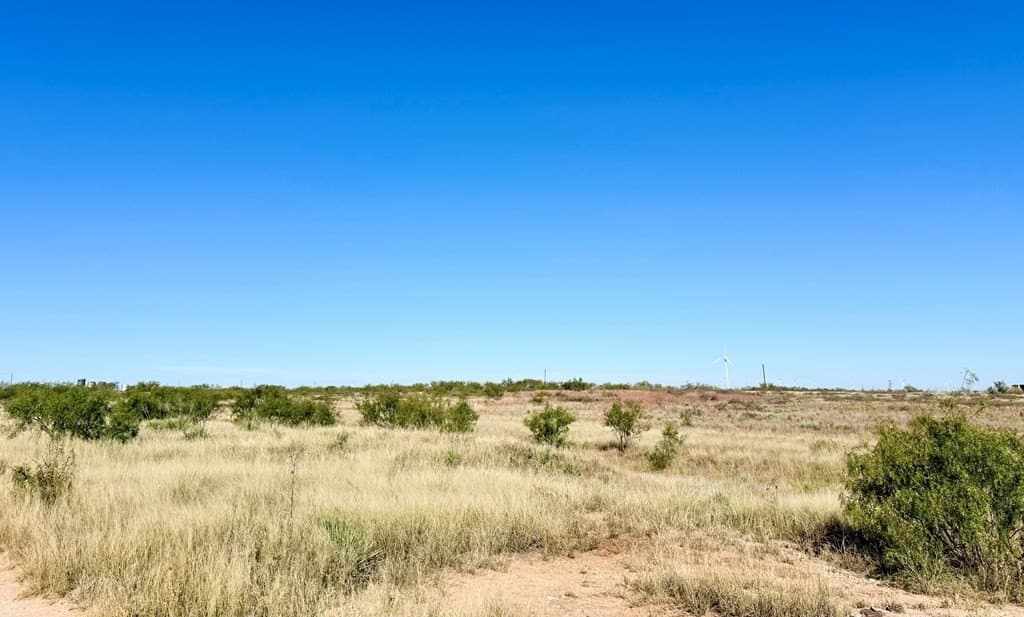 69.06 acres in Scurry County - photo 10
