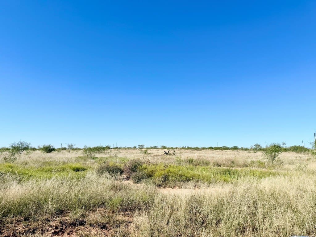 69.06 acres in Scurry County - photo 4