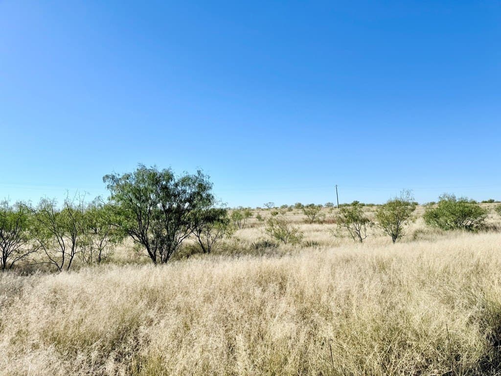 69.06 acres in Scurry County - photo 9