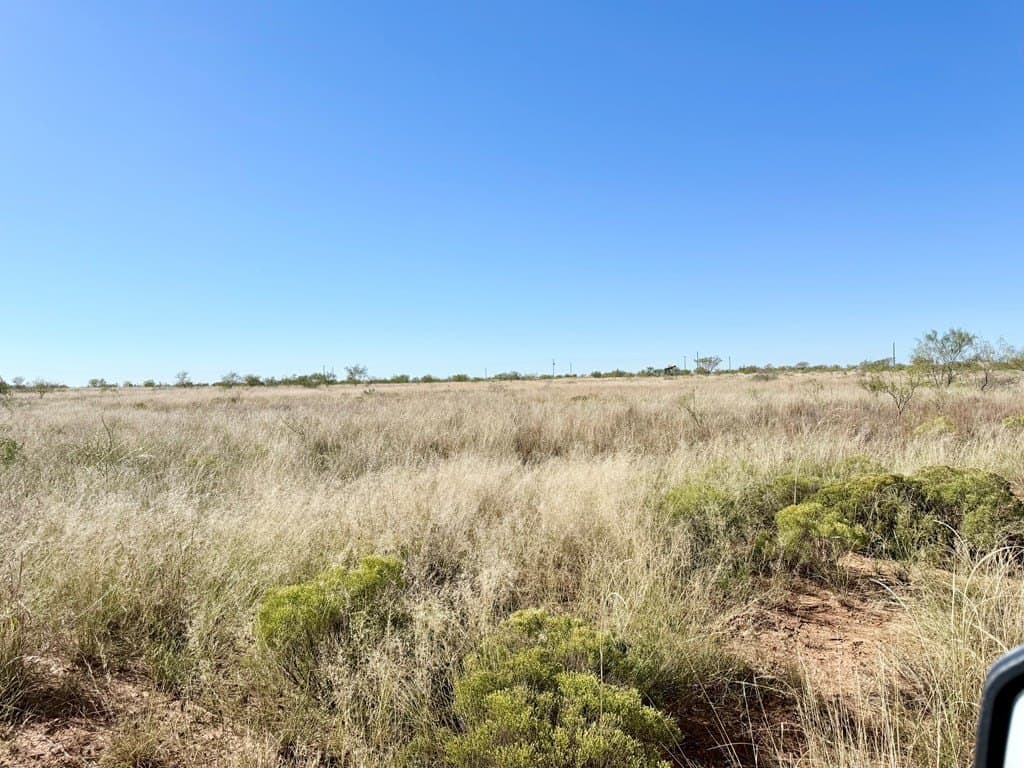 69.06 acres in Scurry County - photo 3