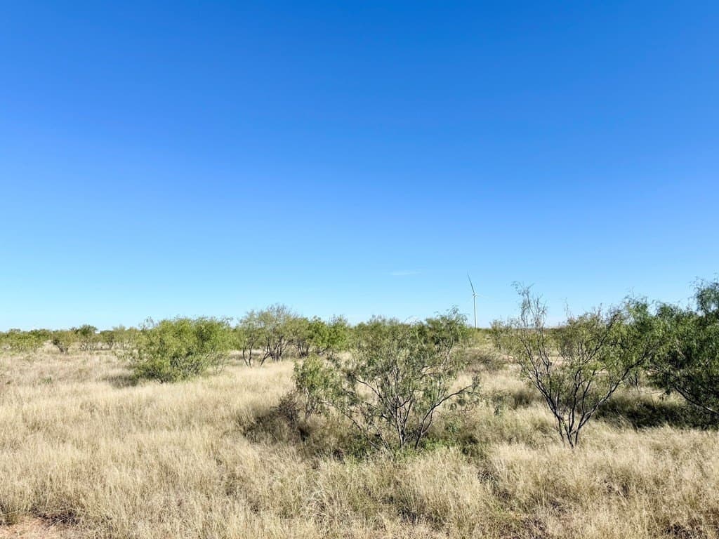 69.06 acres in Scurry County - photo 8