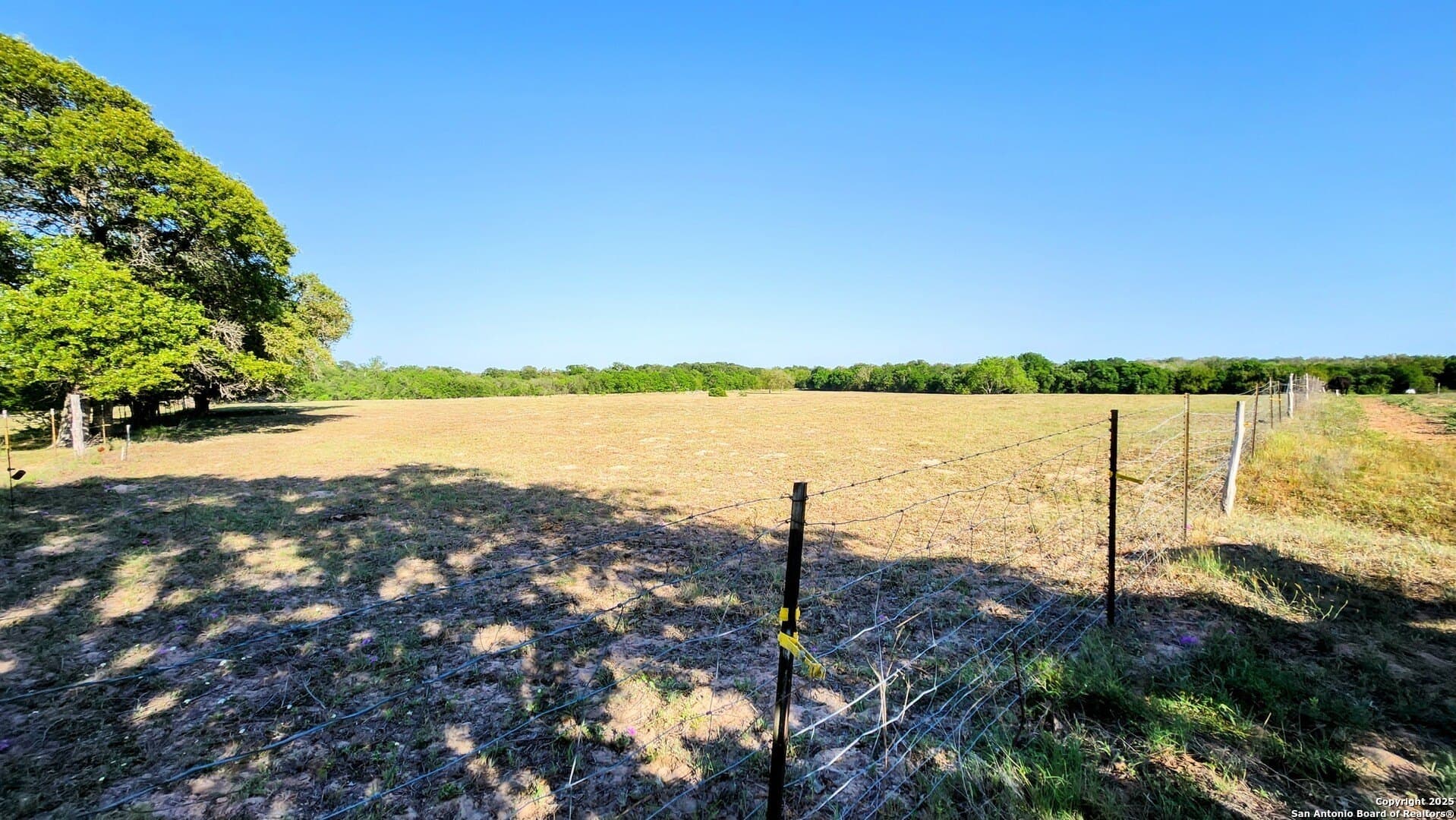 55 acres in Guadalupe County - photo 3