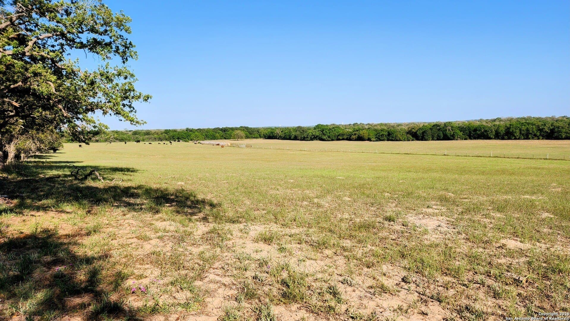 55 acres in Guadalupe County - photo 2
