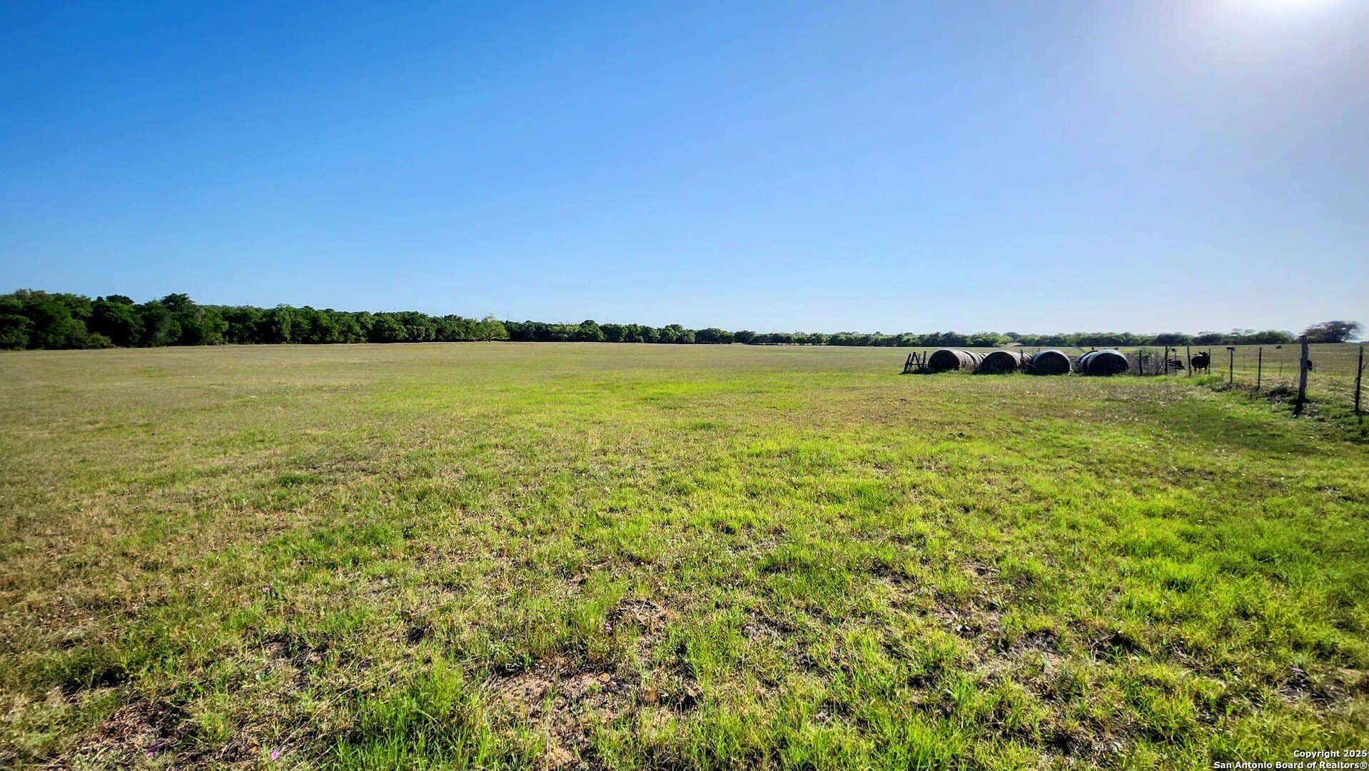 55 acres in Guadalupe County - photo 4