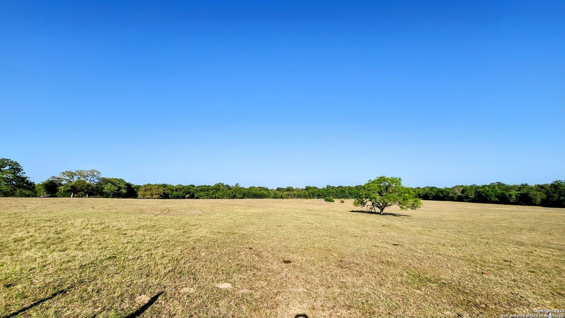 55 acres in Guadalupe County - photo 5