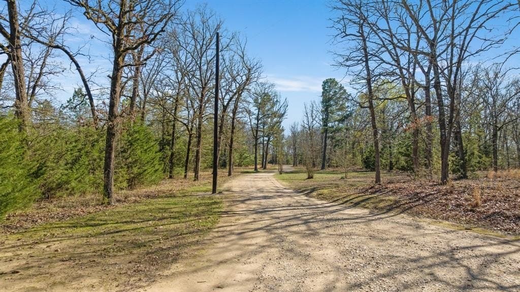 20 acres in Lamar County - photo 38