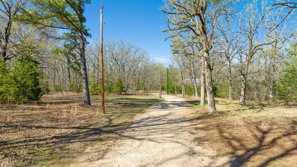 20 acres in Lamar County - photo 39