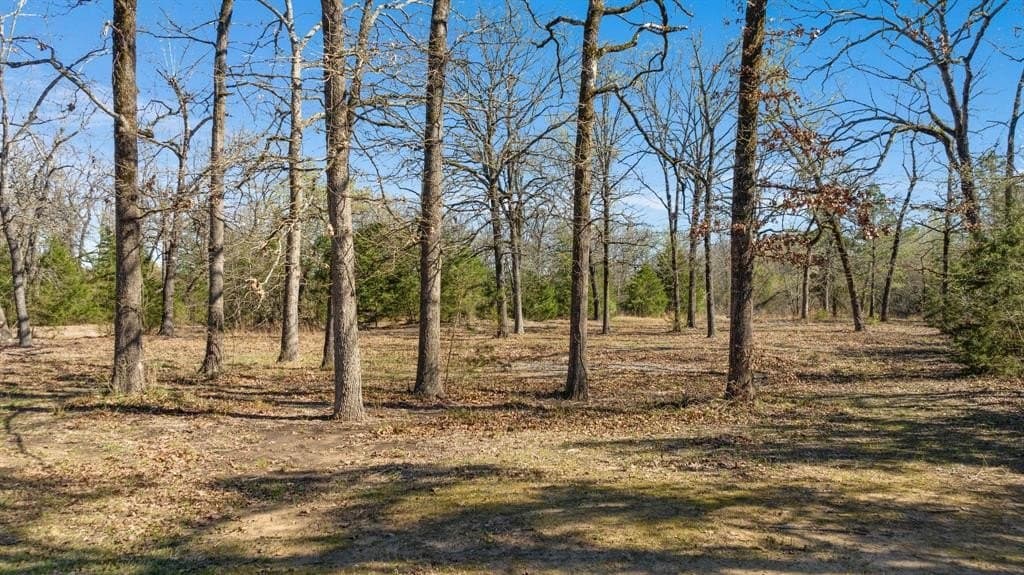 20 acres in Lamar County - photo 30