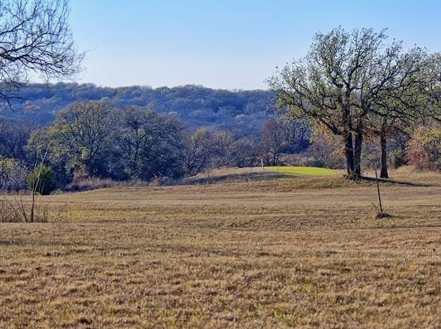0.5 acres in Montague County - photo 2