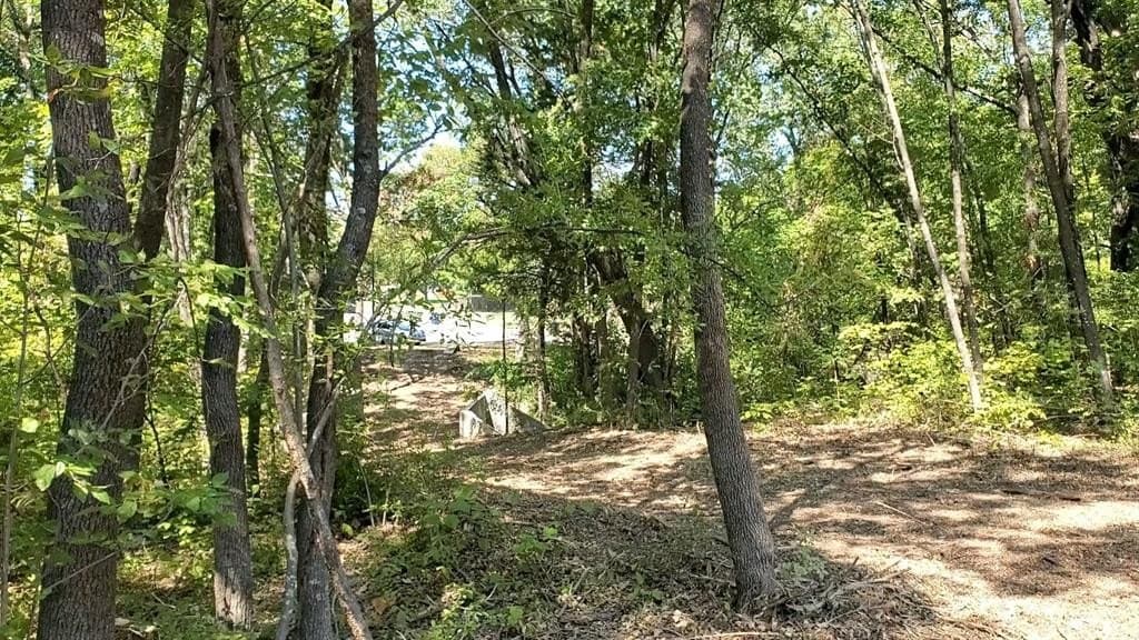 1.55 acres in Dallas County - photo 5