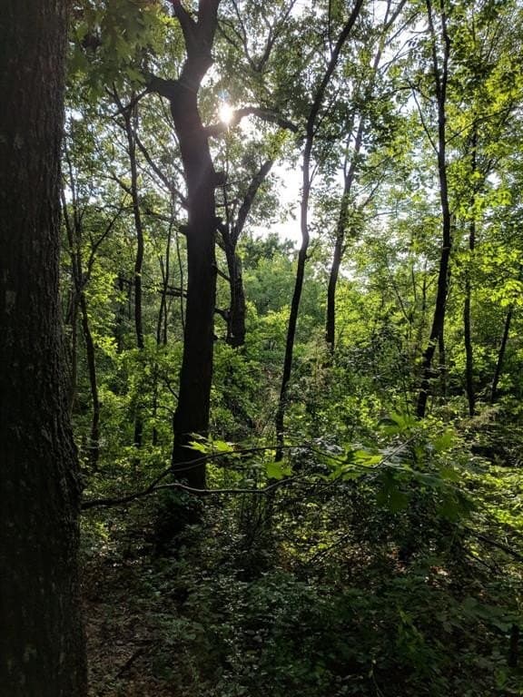 1.55 acres in Dallas County - photo 9