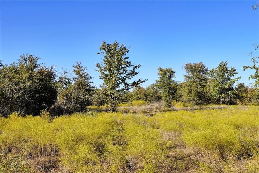 71.63 acres in Jack County - photo 28