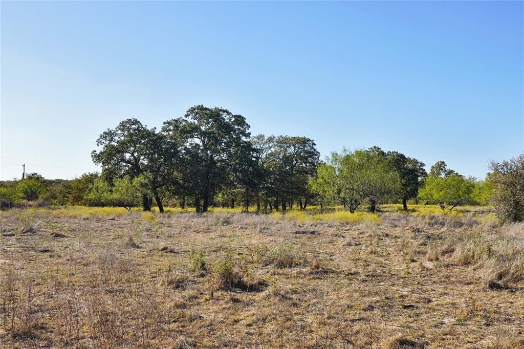 71.63 acres in Jack County - photo 29