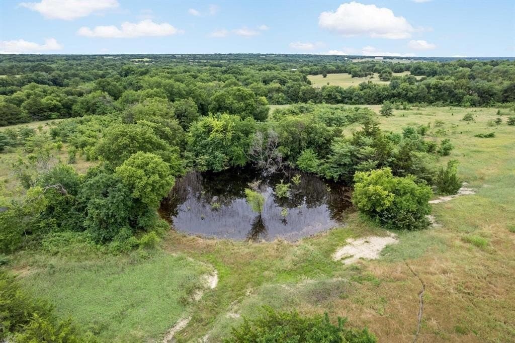 53.98 acres in Grayson County - photo 11