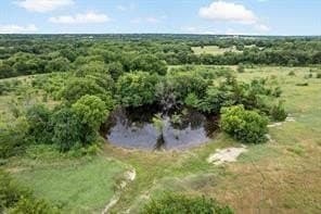 53.98 acres in Grayson County - photo 18