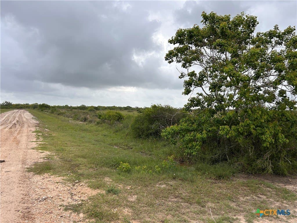 12.49 acres in Calhoun County - photo 15