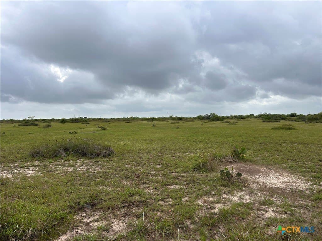 12.49 acres in Calhoun County - photo 2