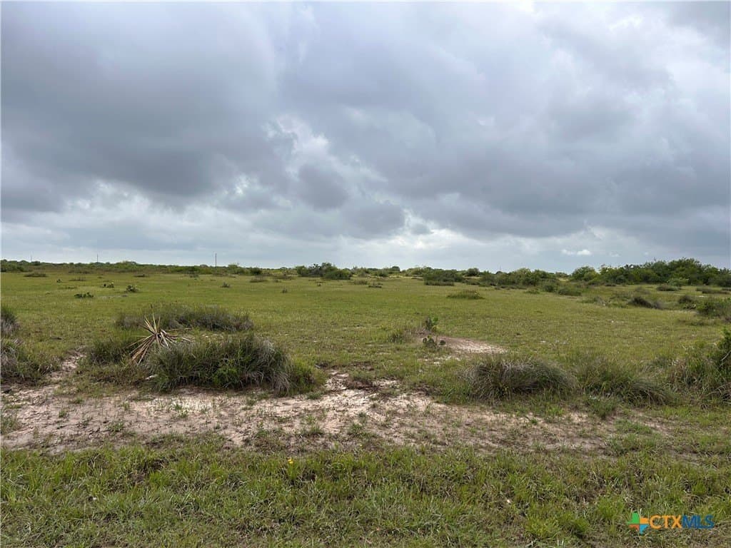 12.49 acres in Calhoun County - photo 3