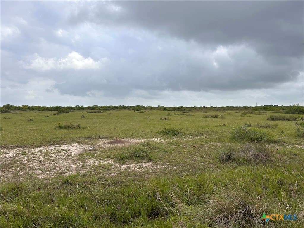 12.49 acres in Calhoun County - photo 4