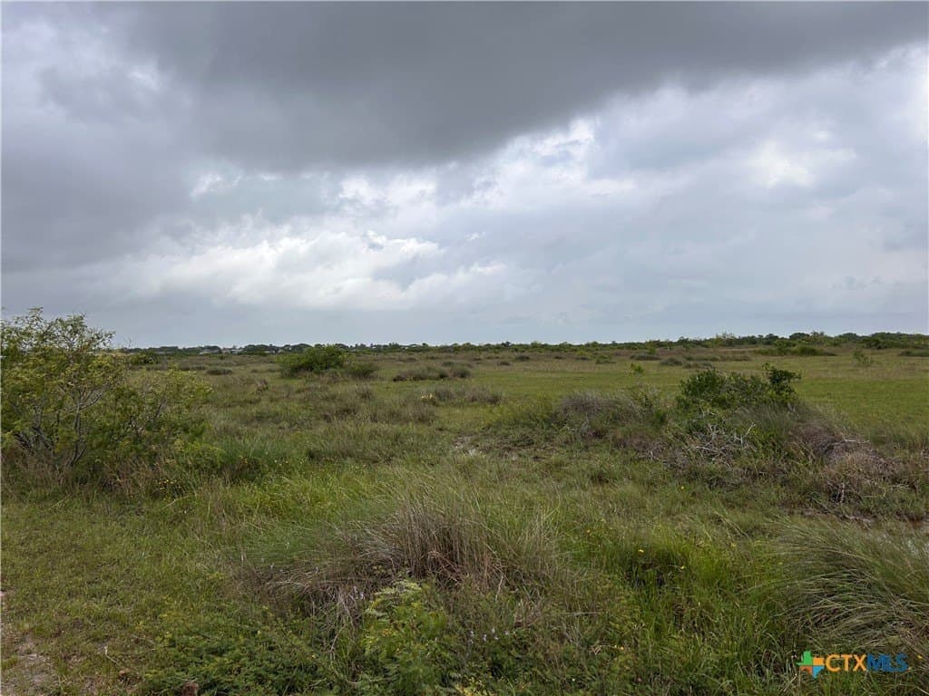 12.49 acres in Calhoun County - photo 13