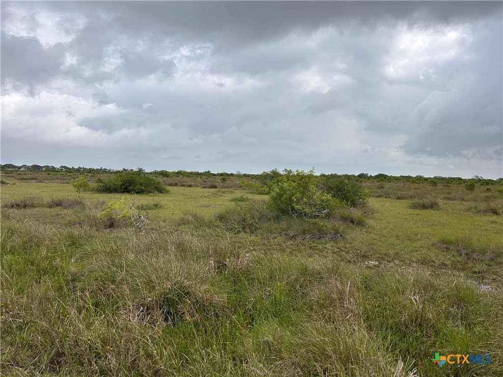 12.49 acres in Calhoun County - photo 7