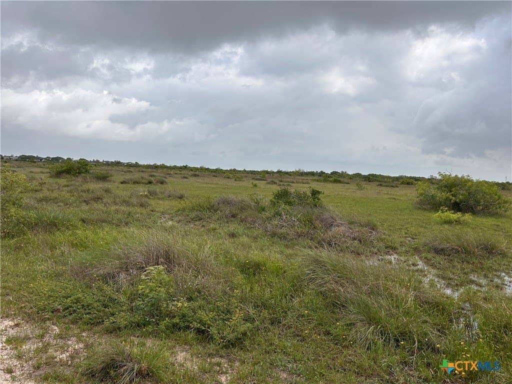 12.49 acres in Calhoun County - photo 9
