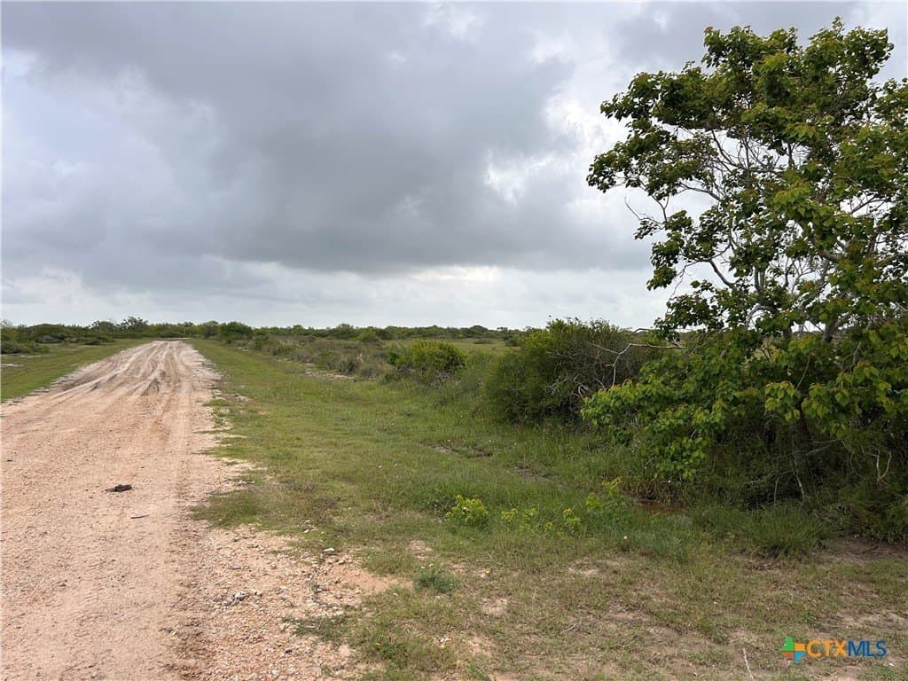 12.49 acres in Calhoun County - photo 16