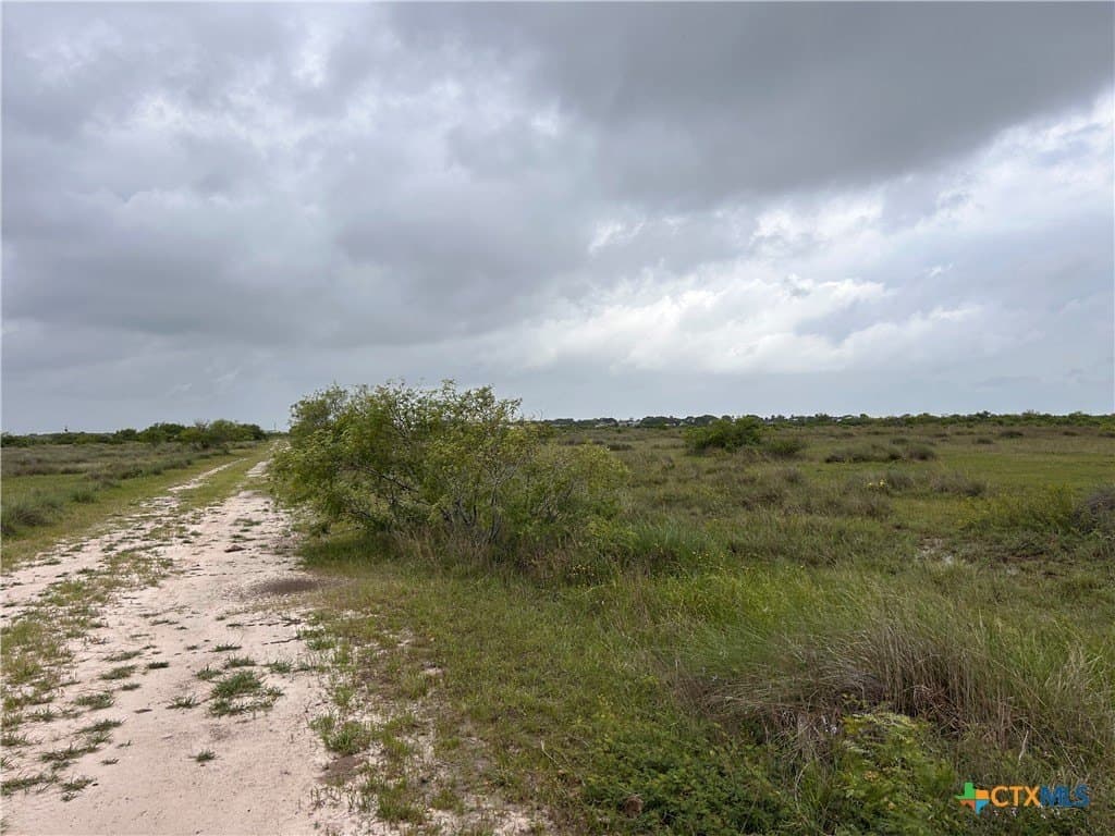 12.49 acres in Calhoun County - photo 12
