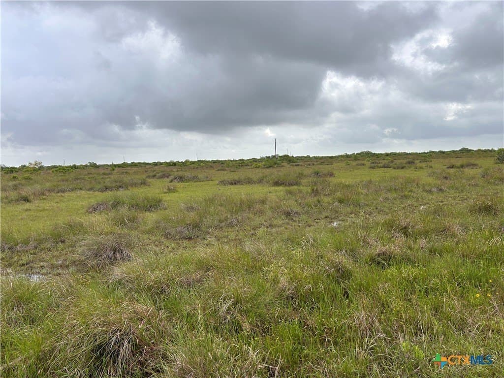 12.49 acres in Calhoun County - photo 8