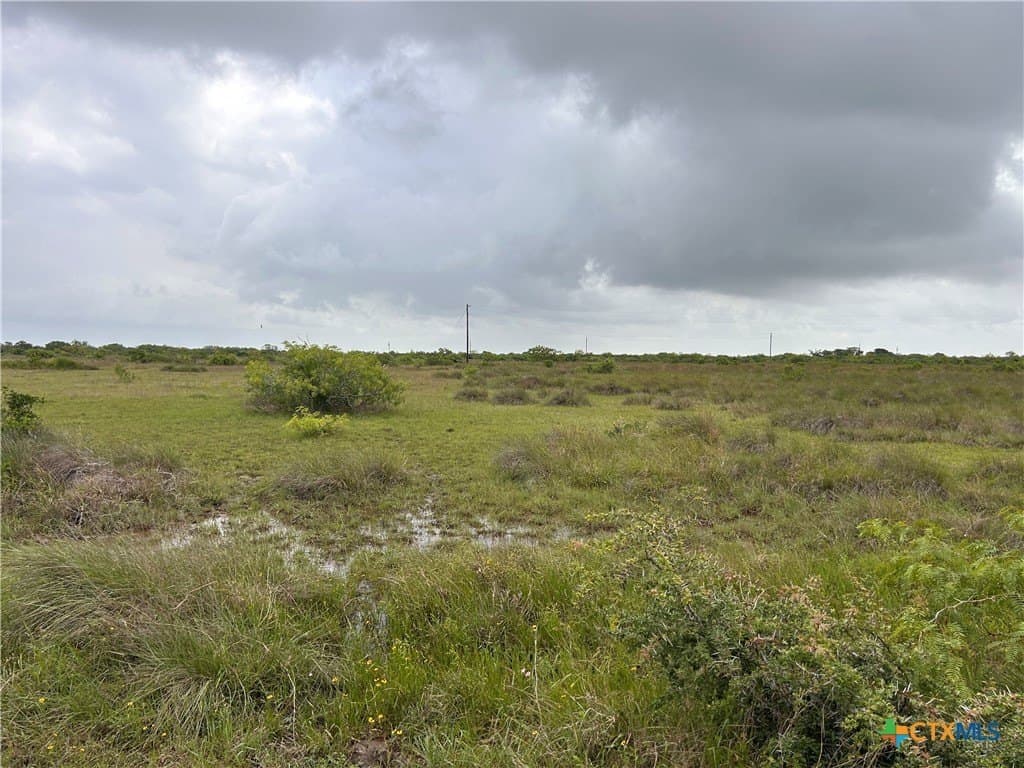 12.49 acres in Calhoun County - photo 10