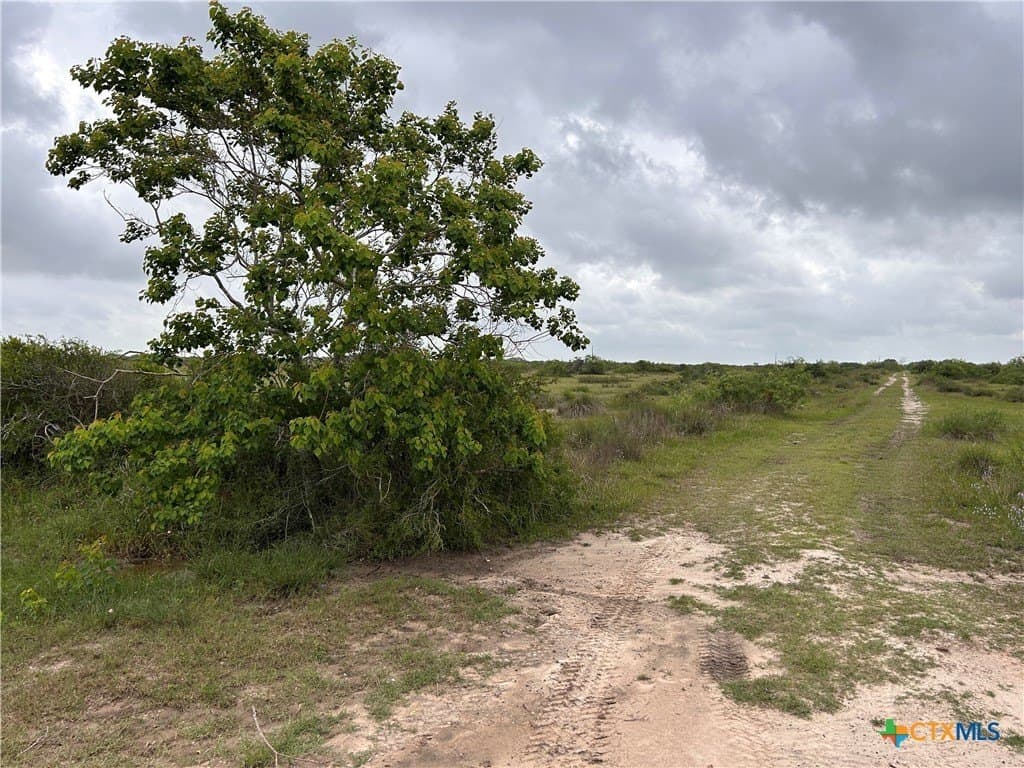 12.49 acres in Calhoun County - photo 14